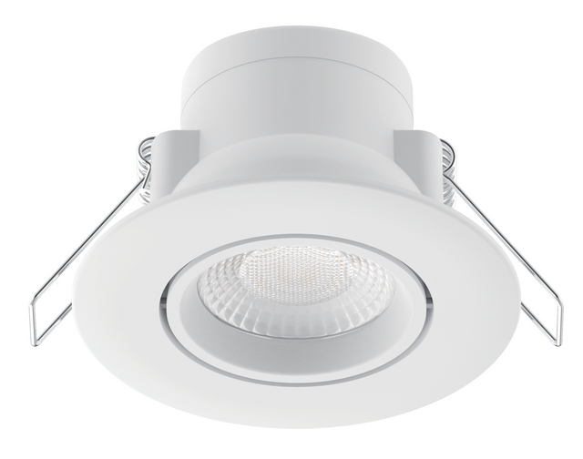 Budget Orientable LED Downlight 3CCT Switchable 5W